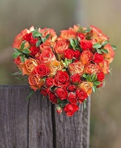 С Днём социального работника!