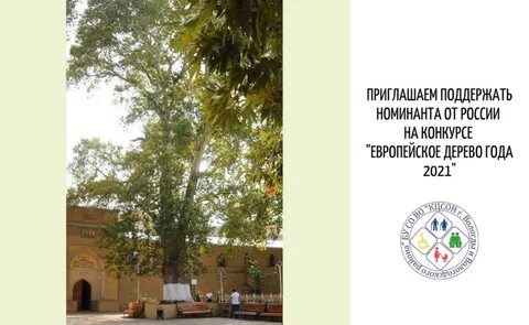 Международный конкурс «Европейское дерево года – 2021».